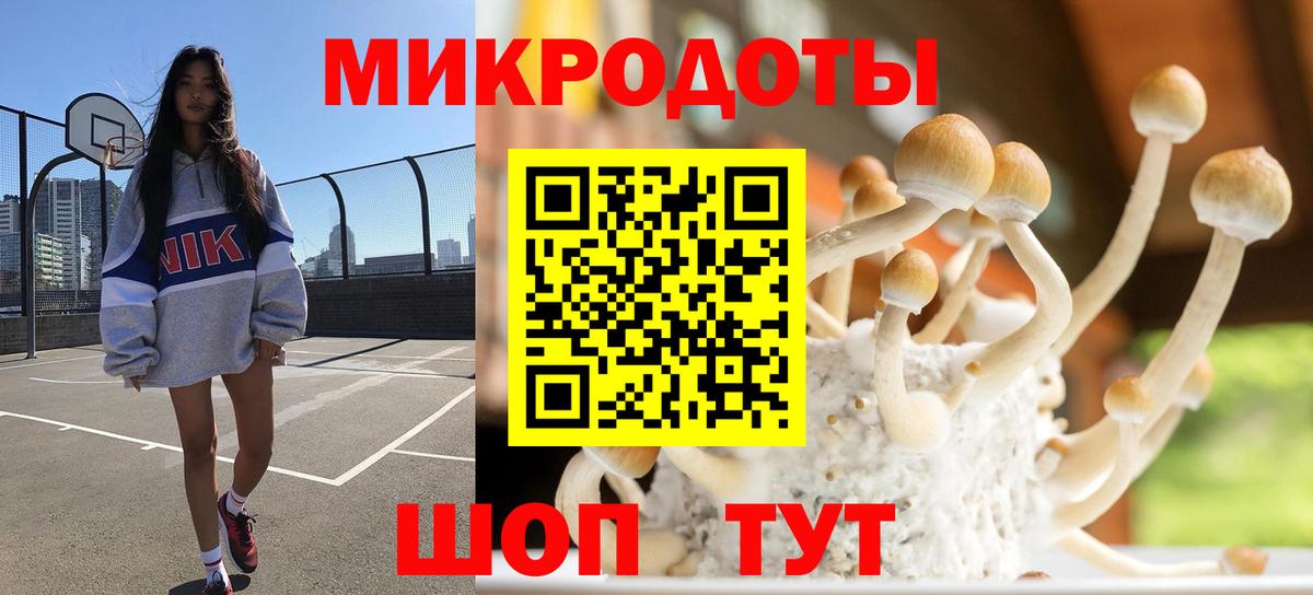 Галлюциногенные грибы GOLDEN TEACHER Михайловск