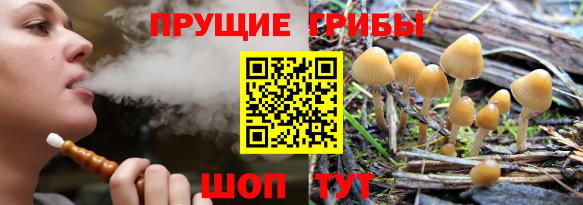 Галлюциногенные грибы прущие грибы  Вход с VPN  даркнет сайт  Михайловск  Галлюциногенные грибы мухоморы 